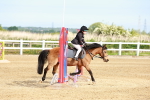 SBM_006423