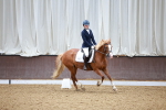 SBM_000603
