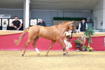SBM_02963