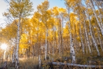 US_2022_083