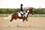 SBM_006906