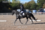 BPP_8747