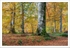Autumnal Colours