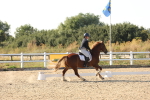 SBM_007053