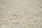 230708A-125046-00522
