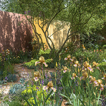 RHS Chelsea Flower Show 2023