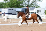 SBM_00334