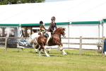 SBM_15753