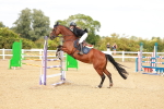 SBM_007234