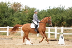 SBM_007568