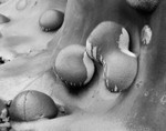Sandstone Nodules - 2