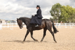 SBM_06350