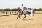 SBM_003308