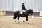 SBM_010988
