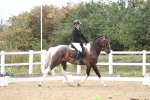 SBM_003606