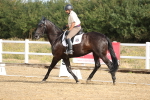 SBM_008285