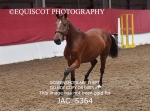 JAC_5364
