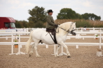 SBM_05304