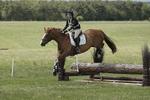 BVHT 140517  NXC -25