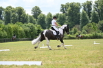 WJ6_6845