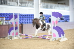 SBM_000212