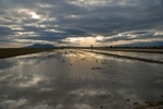 Delta de l’Ebre, Catalunya, Spain