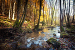 Blackpool Brook