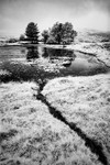 Kelly Hall Tarn 07