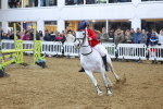 SBM_004609