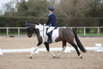 British Dressage portfolio