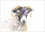 BLACK FACE SHEEP Limited Print 367