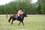 WJ6_5921