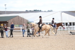 SBM_17181