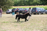 WJ6_7041