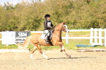 SBM_003028