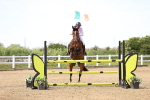 SBM_005037
