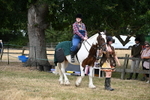 WJ6_4649