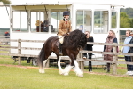 SBM_06098