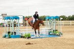 SBM_017629