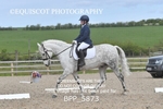 BPP_5873