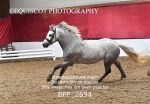 BPP_2694