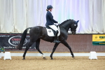 SBM_003923
