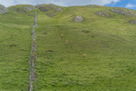 Settle Hills-973
