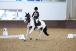 SBM_001331