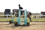 SBM_03353