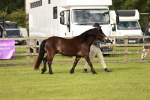 SBM_00380