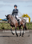 DRESSAGE CHAMPIONSHIPS 2018 portfolio