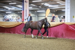 SBM_14945