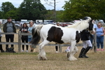 WJ6_8360