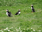 DSC00381